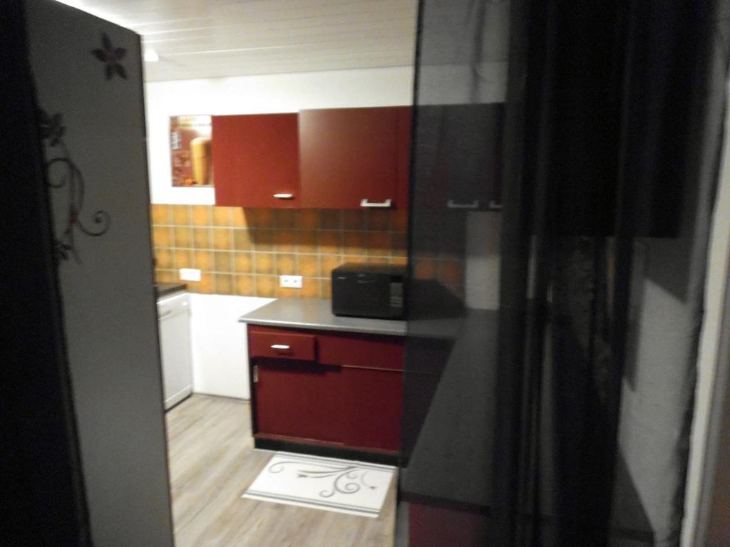 Exclusiv-Mietapartment ハイデルベルク エクステリア 写真